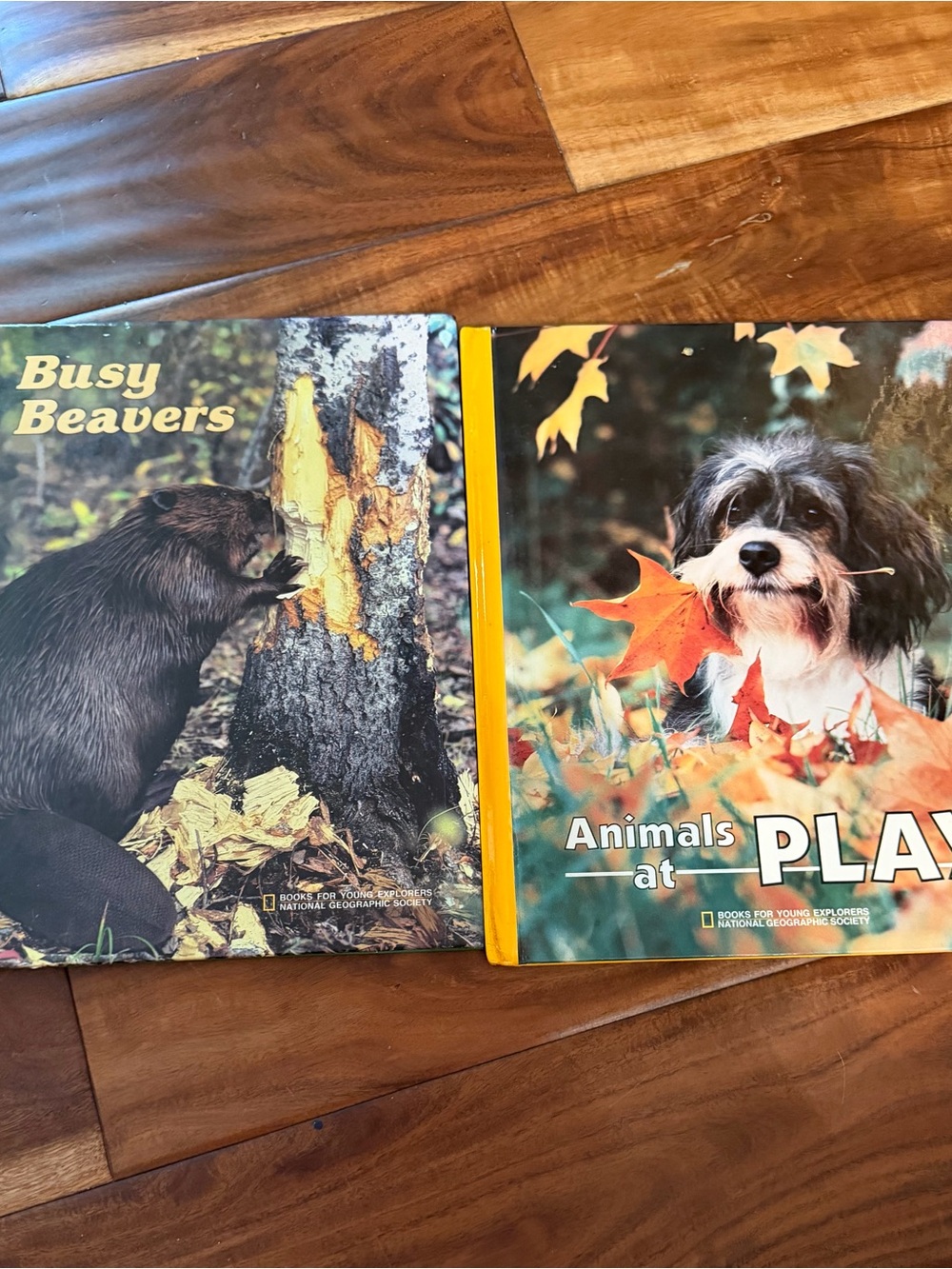 Vintage National Geographic animal books